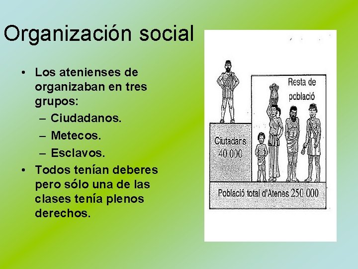 Organización social • Los atenienses de organizaban en tres grupos: – Ciudadanos. – Metecos.