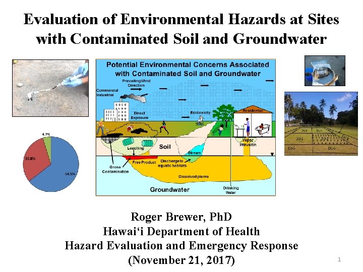 Evaluation of Environmental Hazards at Sites with Contaminated Soil and Groundwater Roger Brewer, Ph.