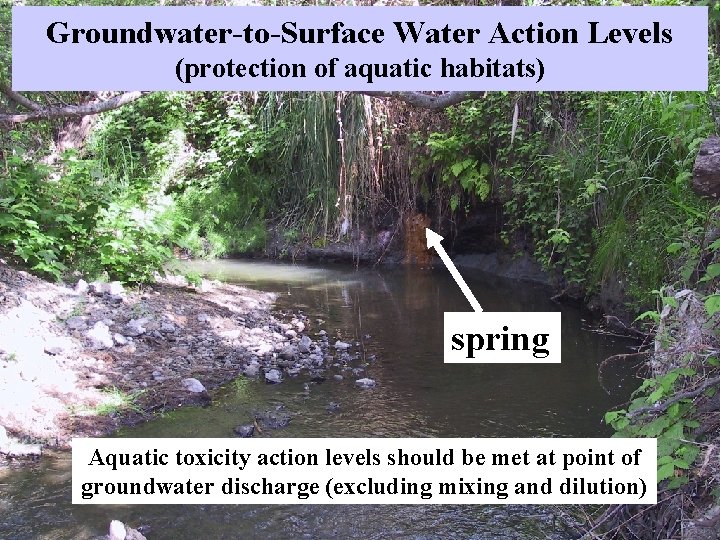 Groundwater-to-Surface Water Action Levels (protection of aquatic habitats) spring Aquatic toxicity action levels should