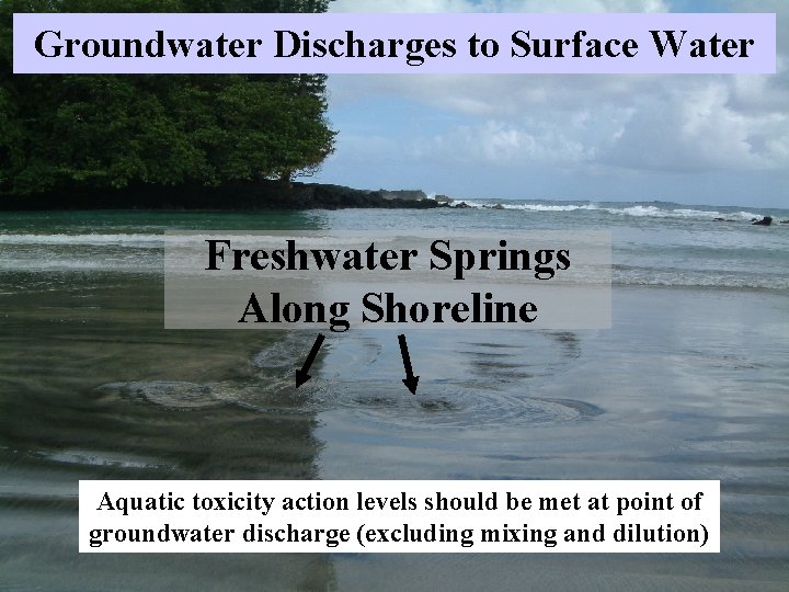 Groundwater Discharges to Surface Water Freshwater Springs Along Shoreline Aquatic toxicity action levels should