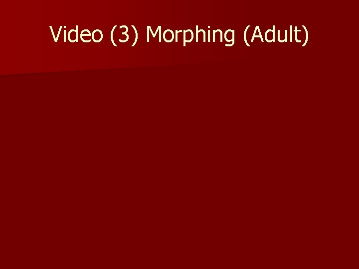 Video (3) Morphing (Adult) 
