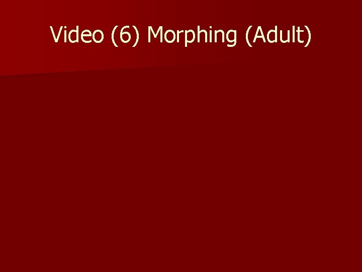 Video (6) Morphing (Adult) 