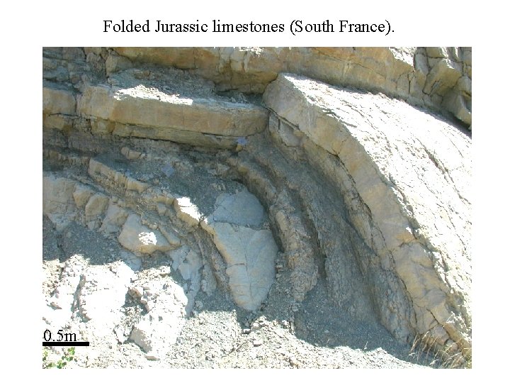 Folded Jurassic limestones (South France). 0. 5 m 