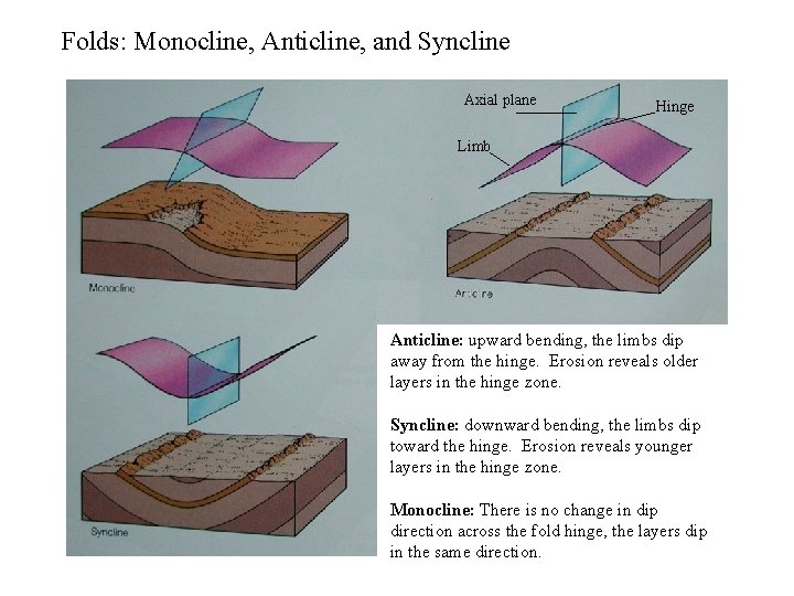 Folds: Monocline, Anticline, and Syncline Axial plane Hinge Limb Anticline: upward bending, the limbs