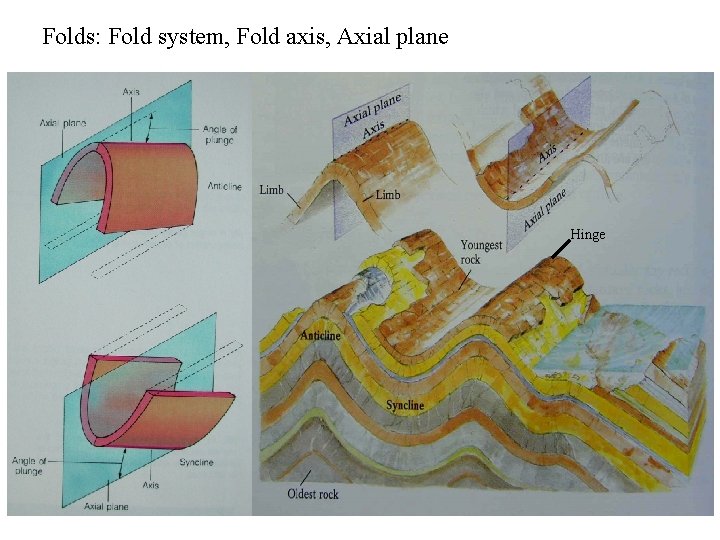 Folds: Fold system, Fold axis, Axial plane Hinge 