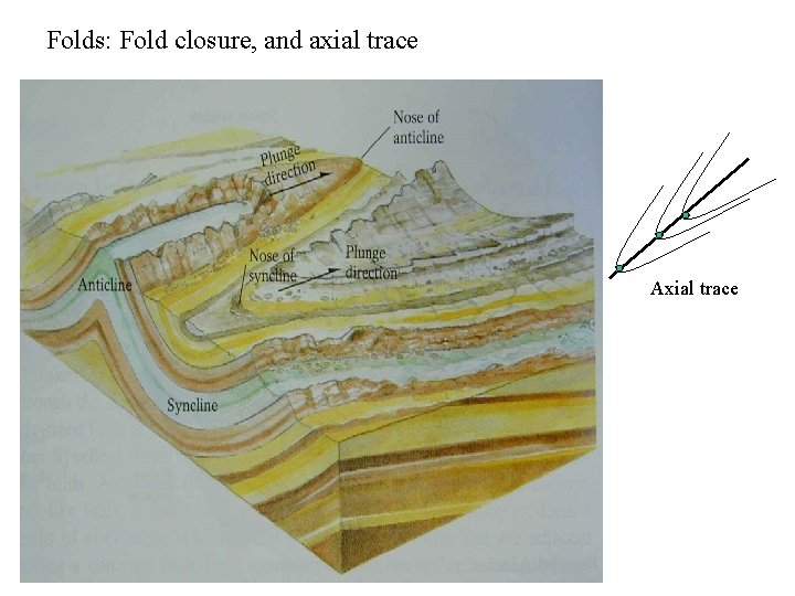 Folds: Fold closure, and axial trace Axial trace 