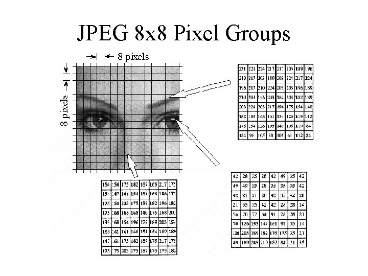JPEG 8 x 8 Pixel Groups 