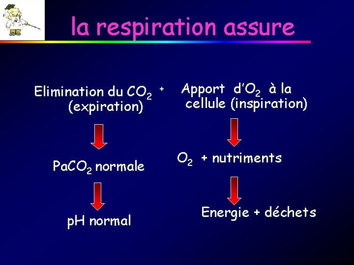 la respiration assure Elimination du CO 2 (expiration) Pa. CO 2 normale p. H