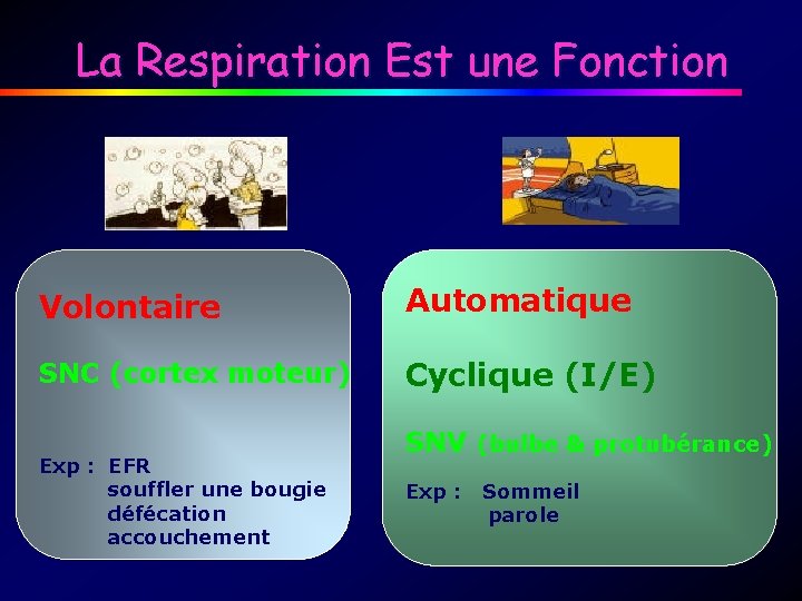 La Respiration Est une Fonction Volontaire Automatique SNC (cortex moteur) Cyclique (I/E) Exp :