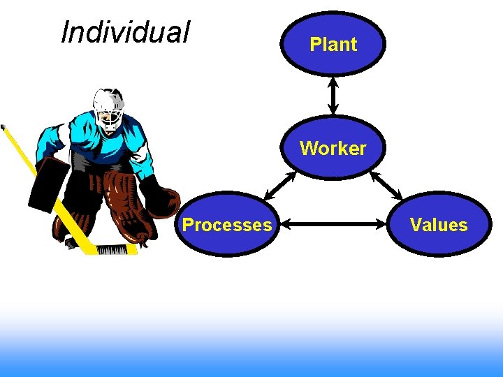 Individual Plant Worker Processes Values 