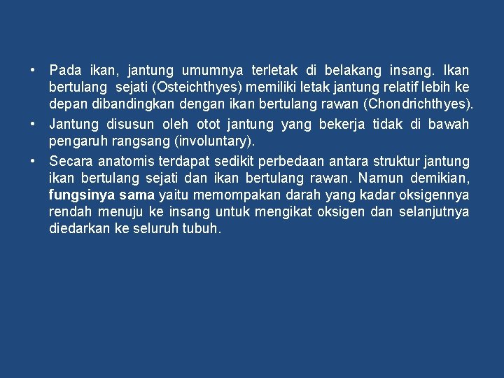  • Pada ikan, jantung umumnya terletak di belakang insang. Ikan bertulang sejati (Osteichthyes)