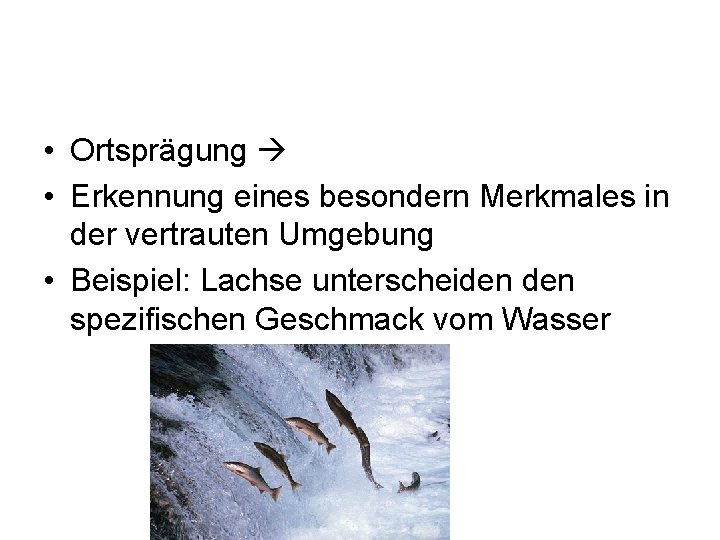  • Ortsprägung • Erkennung eines besondern Merkmales in der vertrauten Umgebung • Beispiel: