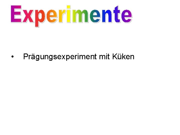  • Prägungsexperiment mit Küken 