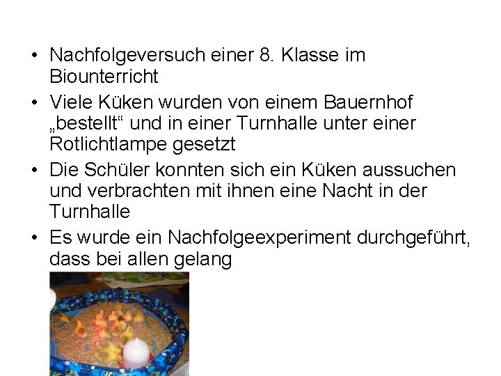  • Nachfolgeversuch einer 8. Klasse im Biounterricht • Viele Küken wurden von einem