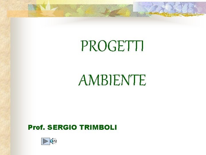 PROGETTI AMBIENTE Prof. SERGIO TRIMBOLI 