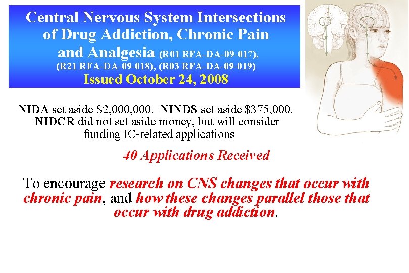 Central Nervous System Intersections of Drug Addiction, Chronic Pain and Analgesia (R 01 RFA-DA-09