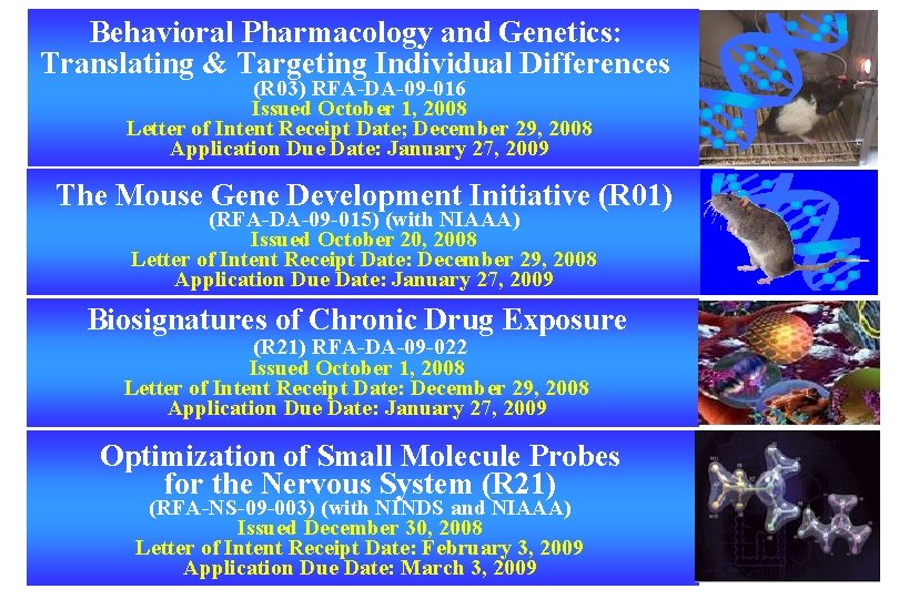 Behavioral Pharmacology and Genetics: Translating & Targeting Individual Differences (R 03) RFA-DA-09 -016 Issued