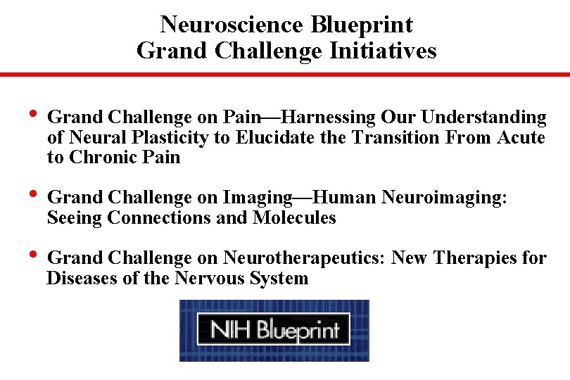 Neuroscience Blueprint Grand Challenge Initiatives • Grand Challenge on Pain—Harnessing Our Understanding of Neural