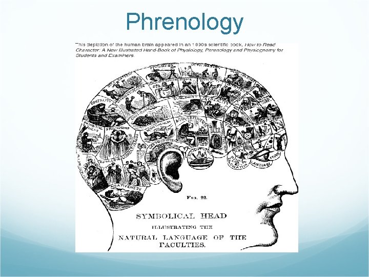Phrenology 