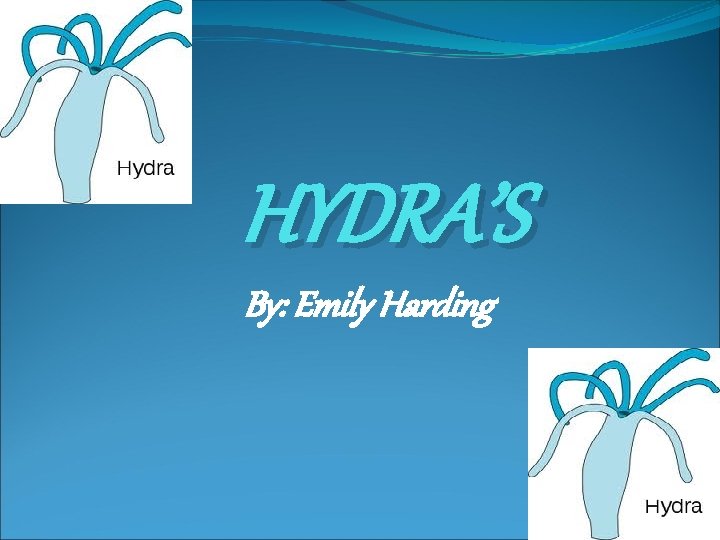 HYDRA’S By: Emily Harding 