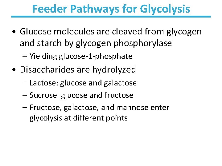 Feeder Pathways for Glycolysis • Glucose molecules are cleaved from glycogen and starch by