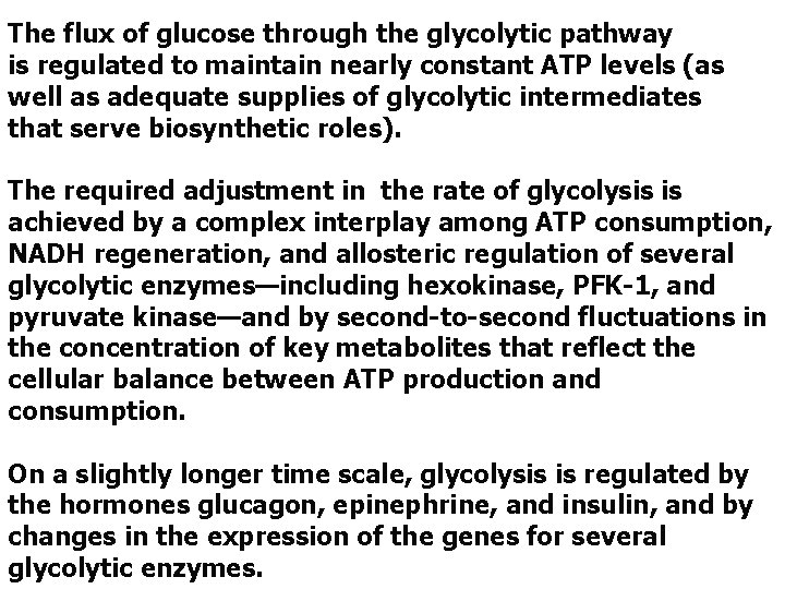 The flux of glucose through the glycolytic pathway is regulated to maintain nearly constant