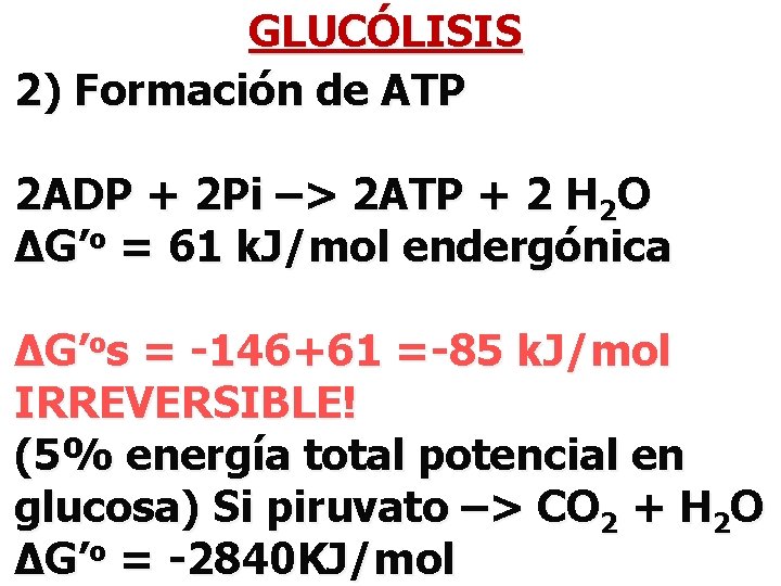 GLUCÓLISIS 2) Formación de ATP 2 ADP + 2 Pi –> 2 ATP +