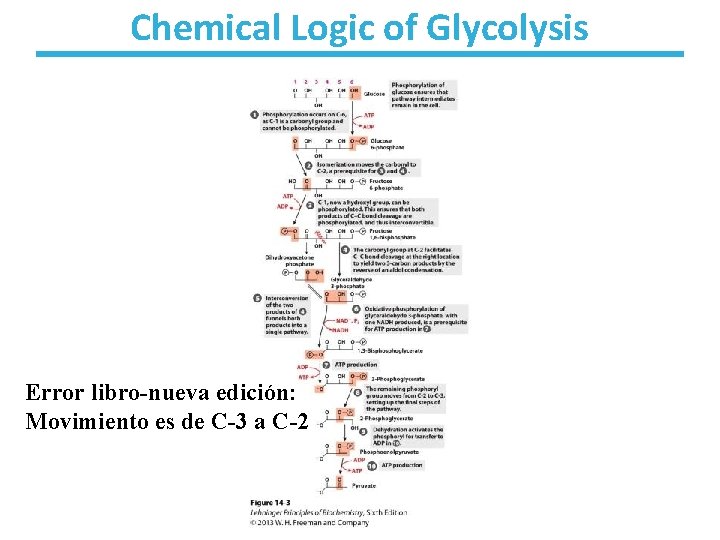 Chemical Logic of Glycolysis Error libro-nueva ediciόn: Movimiento es de C-3 a C-2 
