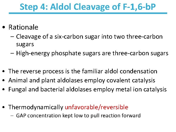 Step 4: Aldol Cleavage of F-1, 6 -b. P • Rationale – Cleavage of