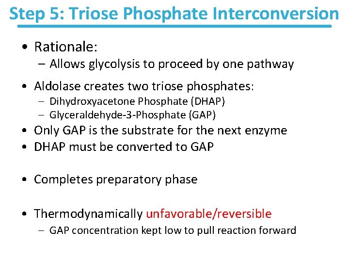 Step 5: Triose Phosphate Interconversion • Rationale: – Allows glycolysis to proceed by one