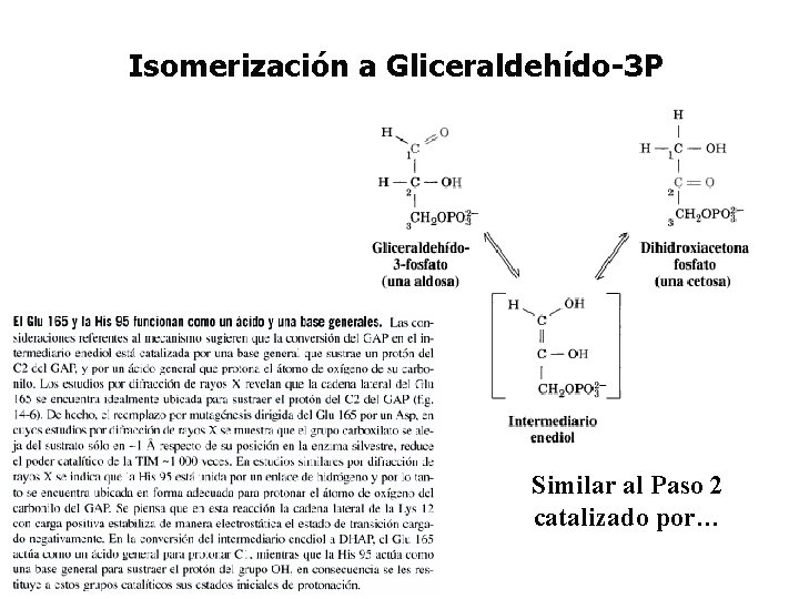 Isomerización a Gliceraldehído-3 P Similar al Paso 2 catalizado por… 