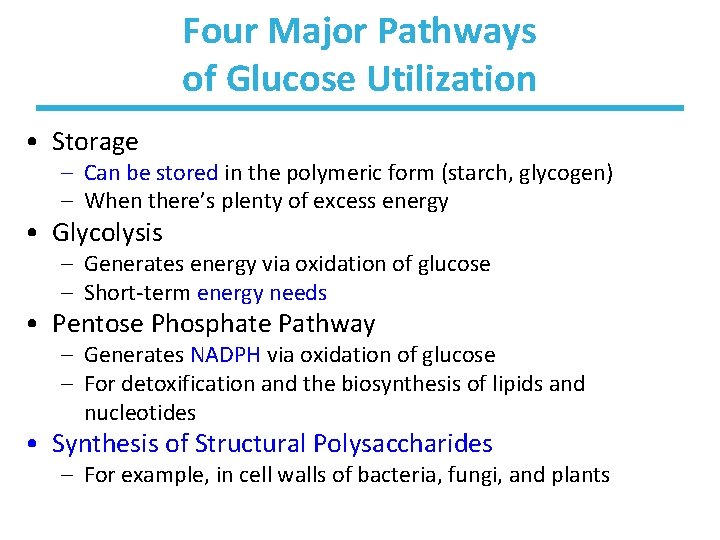 Four Major Pathways of Glucose Utilization • Storage – Can be stored in the