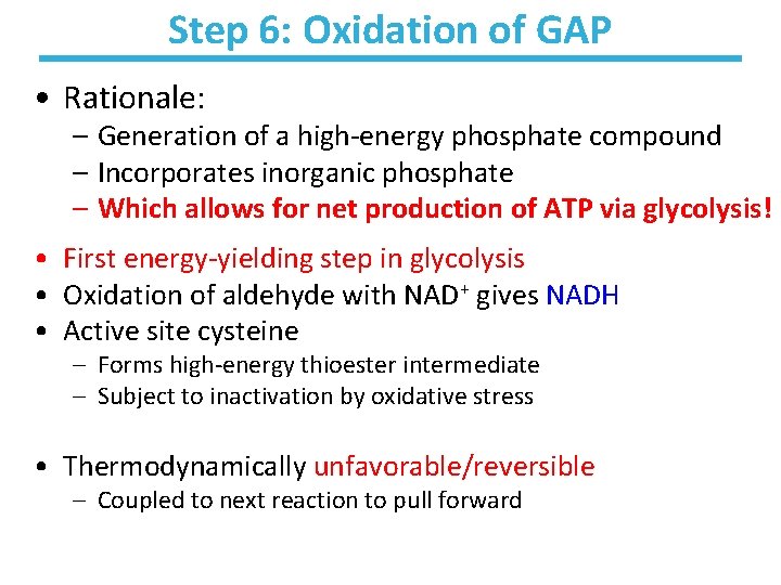 Step 6: Oxidation of GAP • Rationale: – Generation of a high-energy phosphate compound