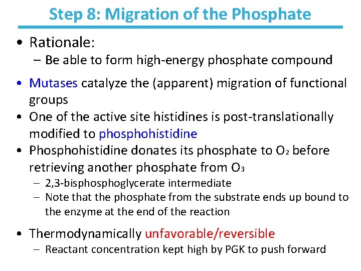 Step 8: Migration of the Phosphate • Rationale: – Be able to form high-energy