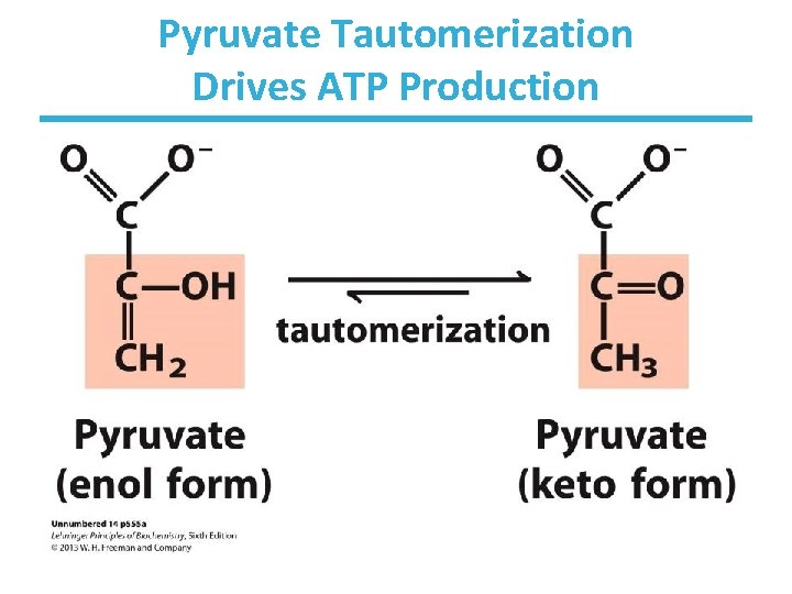 Pyruvate Tautomerization Drives ATP Production 