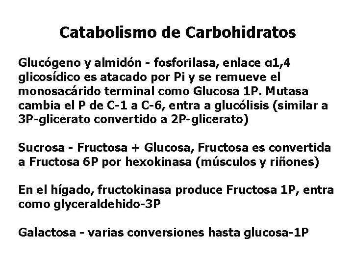 Catabolismo de Carbohidratos Glucógeno y almidón - fosforilasa, enlace α 1, 4 glicosídico es