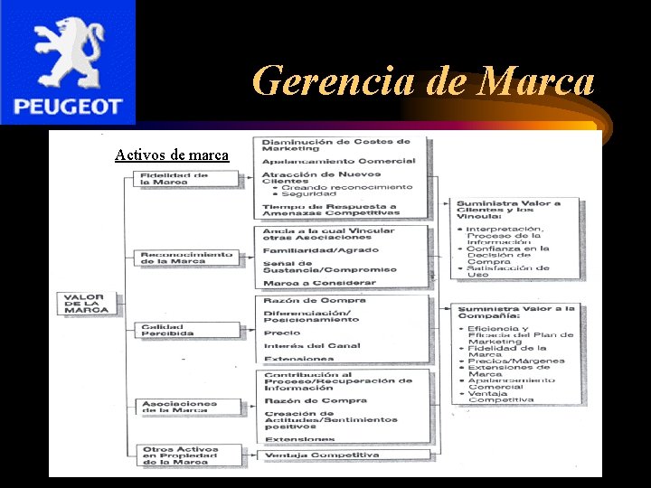 Gerencia de Marca Activos de marca 