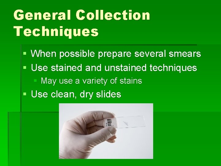 General Collection Techniques § When possible prepare several smears § Use stained and unstained