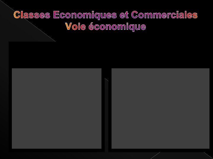 Classes Economiques et Commerciales Voie économique 