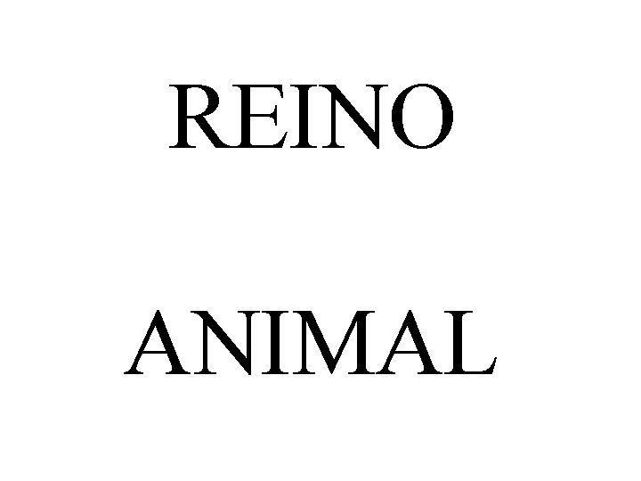 REINO ANIMAL 
