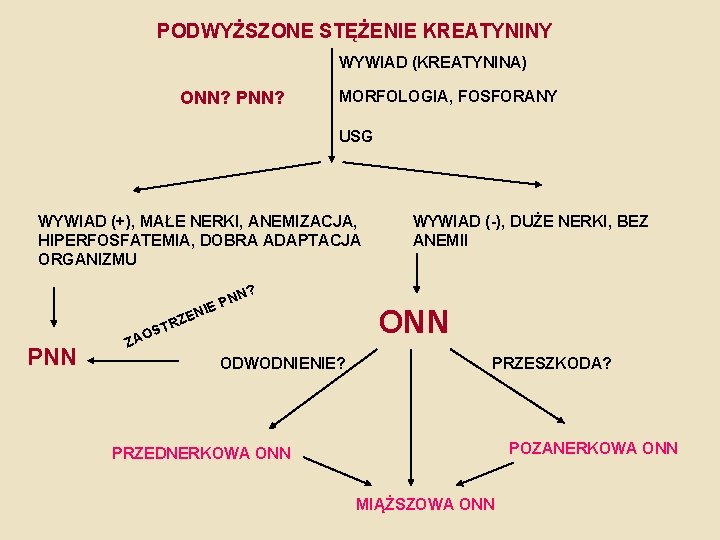 PODWYŻSZONE STĘŻENIE KREATYNINY WYWIAD (KREATYNINA) ONN? PNN? MORFOLOGIA, FOSFORANY USG WYWIAD (+), MAŁE NERKI,