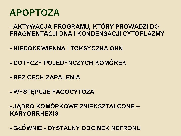 APOPTOZA - AKTYWACJA PROGRAMU, KTÓRY PROWADZI DO FRAGMENTACJI DNA I KONDENSACJI CYTOPLAZMY - NIEDOKRWIENNA