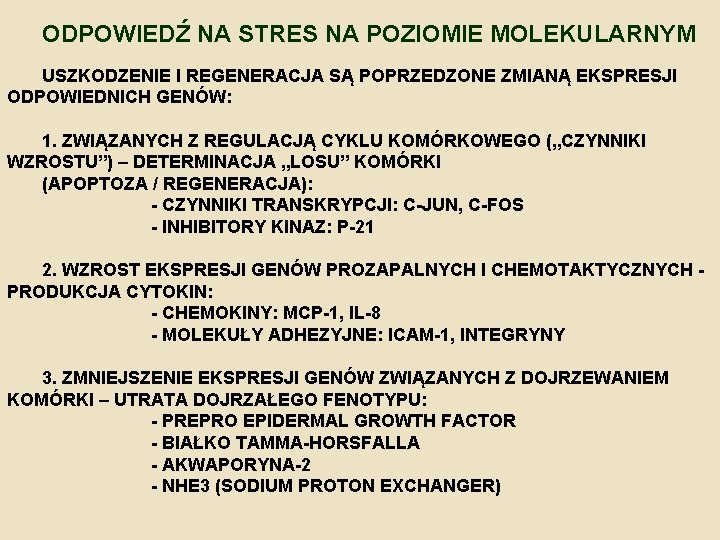 ODPOWIEDŹ NA STRES NA POZIOMIE MOLEKULARNYM USZKODZENIE I REGENERACJA SĄ POPRZEDZONE ZMIANĄ EKSPRESJI ODPOWIEDNICH