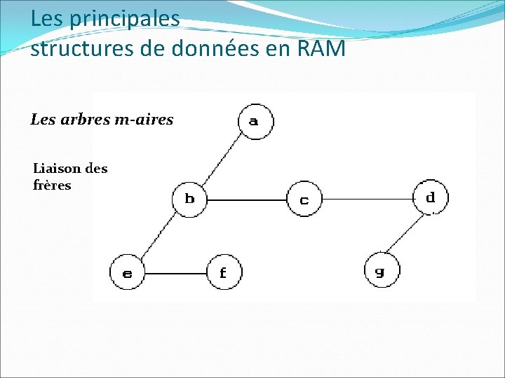 Les principales structures de données en RAM Les arbres m-aires Liaison des frères 