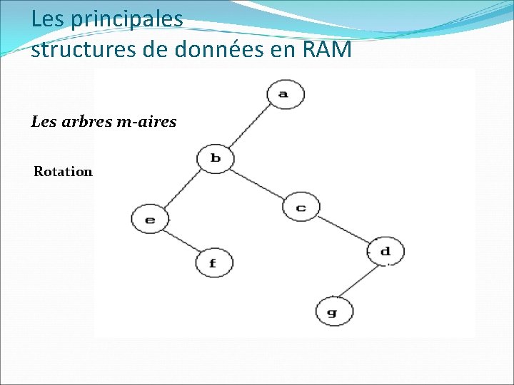 Les principales structures de données en RAM Les arbres m-aires Rotation 