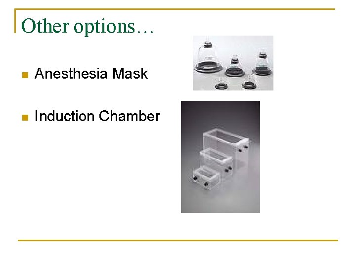 Other options… n Anesthesia Mask n Induction Chamber 