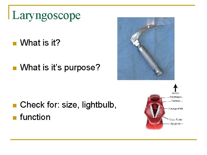 Laryngoscope n What is it? n What is it’s purpose? n Check for: size,