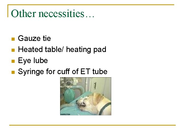 Other necessities… n n Gauze tie Heated table/ heating pad Eye lube Syringe for