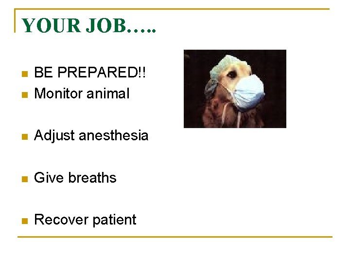 YOUR JOB…. . n BE PREPARED!! Monitor animal n Adjust anesthesia n Give breaths