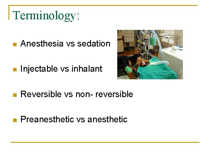 Terminology: n Anesthesia vs sedation n Injectable vs inhalant n Reversible vs non- reversible